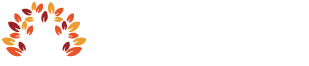 MSA Care Services Logo