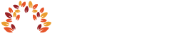 MSA Care Services Logo